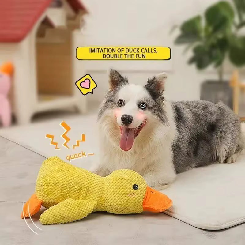 CalmPaws Anxiety Chew Toy