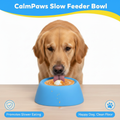 CalmPaws Slow Feeder Bowl