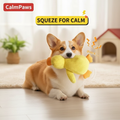 CalmPaws Anxiety Chew Toy